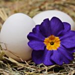 egg whites To Get Rid Of Under Eye Circle And Eye Bags